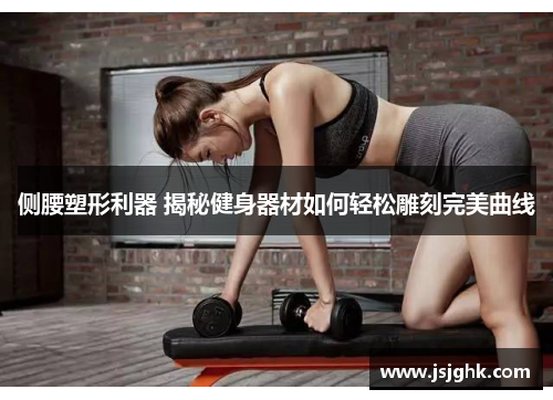 侧腰塑形利器 揭秘健身器材如何轻松雕刻完美曲线
