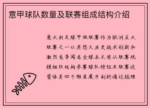 意甲球队数量及联赛组成结构介绍