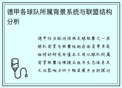 德甲各球队所属背景系统与联盟结构分析